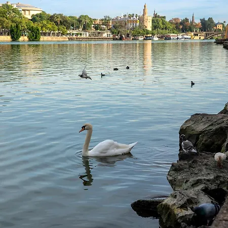 Apartamento Pierre&vacances Sevilla